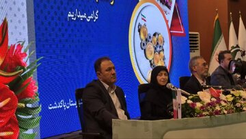 معاون رئیس‌جمهور: صنایع برای عبور از ناترازی برق به سمت تولید انرژی خورشیدی بروند