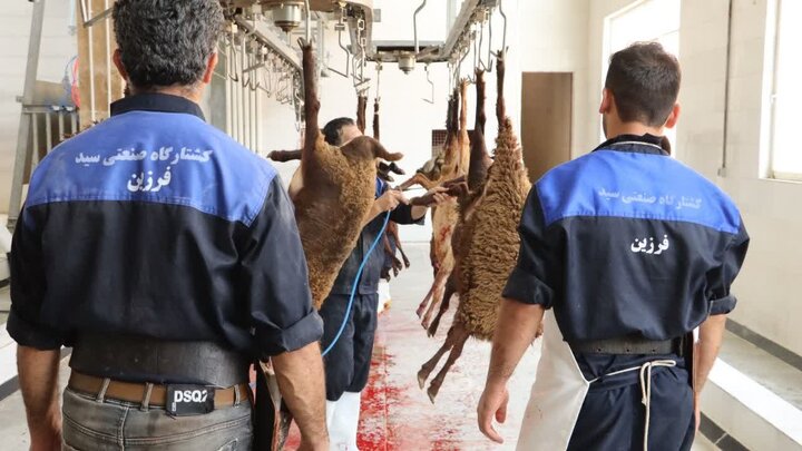 پس از ۱۲ سال انتظار، کشتارگاه صنعتی دام در چالوس و مرزن آباد وارد مدار فعالیت شد