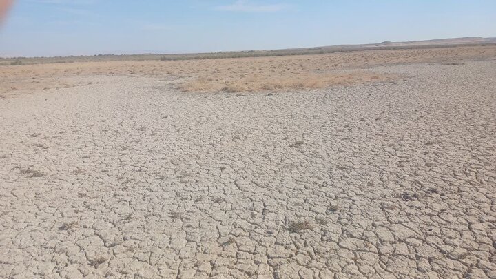 احیای مسیر انتقال آب رودخانه شور دیرین به تالاب بندعلی‌خان آغاز شد