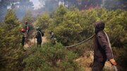 آتش‌سوزی‌های جنگلی در ۱۶ استان الجزایر در بحبوحه موج گرمای طولانی