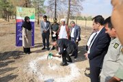 اهمیت تأمین زیرساخت‌های اقامتی و پشتیبانی مناطق تحت حفاظت محیط زیست فارس