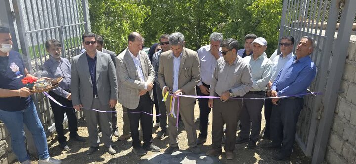 معاون وزیر جهادکشاورزی: تولید سبزی و صیفی گلخانه‌ای در کشور باید به ۱۰ هزار تن برسد