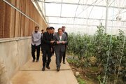 بهره‌برداری و آغاز عملیات اجرایی ۱۳ پروژه با اعتبار ۶۵۰ میلیارد تومان در هلیلان