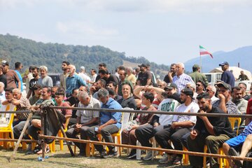 مسابقات کشتی سنتی لوچو روستای کلاریجان-سوادکوه