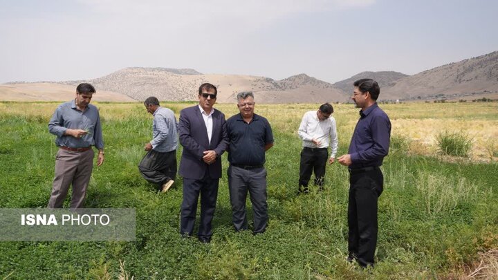 آمایش سرزمین و مدیریت آب، کلید جهش کشاورزی ایلام