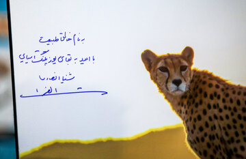 سفر رئیس سازمان حفاظت محیط زیست به خراسان شمالی