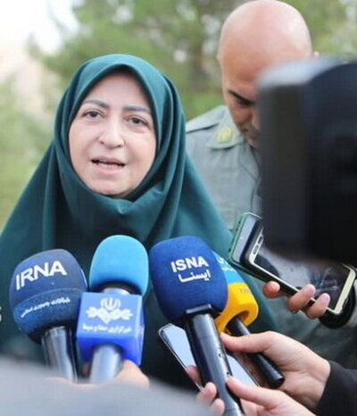 رئیس سازمان حفاظت محیط زیست: ۷۰ درصد از تالاب‌ها با مشکل کم آبی مواجه هستند