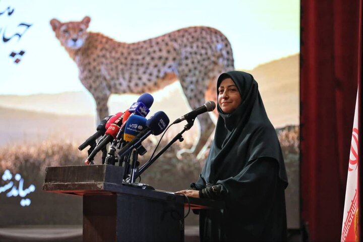 رئیس سازمان حفاظت محیط زیست: برای حفاظت از تنوع زیستی نیازمند رویکرد مشارکتی هستیم