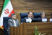 چالش مزارع کلزا و کاملینای خراسان شمالی با مرغ های مینا؛ فکری اساسی برای آن شود