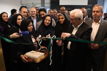 پیش بینی ۳ همت تسهیلات برای حمایت از مشاغل خانگی در خراسان شمالی