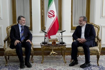 دیدار خداحافظی سفیر ترکیه با عراقچی