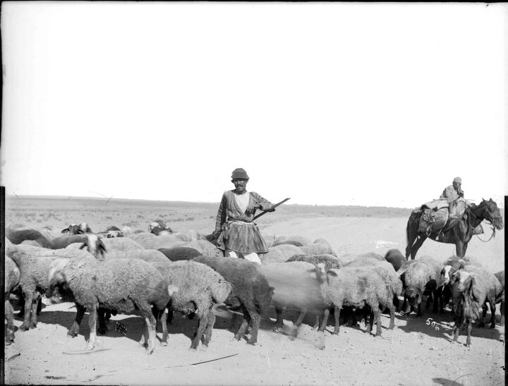 ثبت تاریخ ایران؛ از شاه تا مردم!