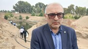 پرورش میگو در دریا؛ رکورد ۱۷.۵ گرمی در ۸۲ روز نویدبخش تحول در شرق مازندران