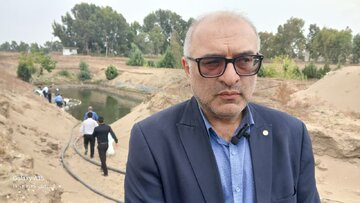 پرورش میگو در دریا؛ رکورد ۱۷.۵ گرمی در ۸۲ روز نویدبخش تحول در شرق مازندران