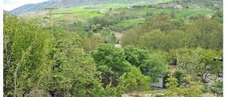 خانه‌باغ‌ها، بلای جان کشاورزی و منابع طبیعی ایلام