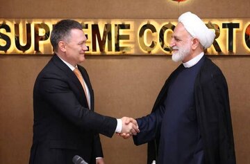 دیدار محسنی اژه ای با روسای دیوان عالی روسیه و اندونزی