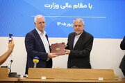 برزین ضرغامی معاون صنایع دستی شد