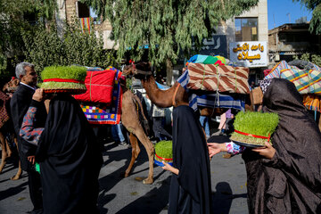 کاروان ورود حضرت معصومه (س) به قم