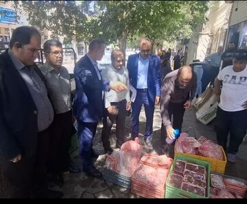 کشف و معدوم‌سازی آلایش مرغ فاسد در قرچک