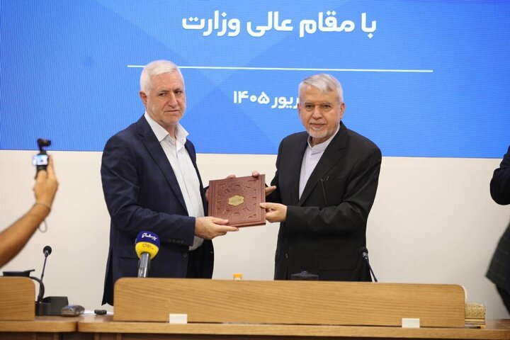 برزین ضرغامی معاون صنایع دستی شد