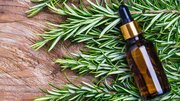 رزماری در برابر آکنه؛ آیا یک گیاه می‌تواند رقیب درمان‌های رایج شود؟