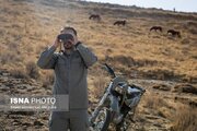 رشته محیط‌بانی در هنرستان کشاورزی اهواز راه‌اندازی می‌شود 