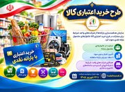 دعوت سازمان هدفمندی یارانه‌ها برای همکاری شرکت‌ها در طرح خرید اعتباری کالا