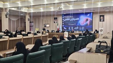 مدیرکل دفتر امور زنان یزد:سقط جنین نتیجه یک تصمیم فردی نیست جامعه باید پای کار باشد