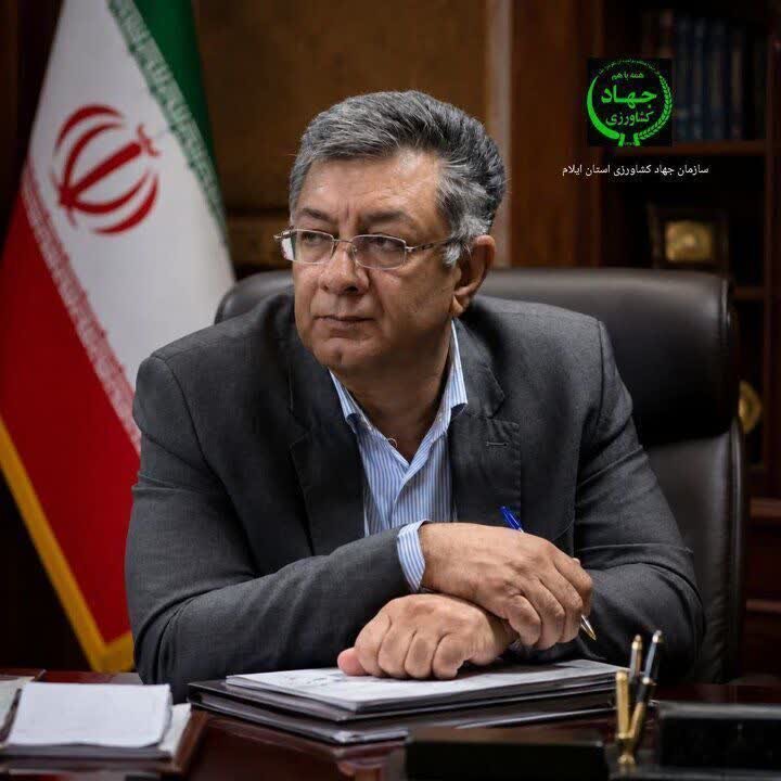 توسعه کشت دیم‌ با اصلاح الگوی کشت و بهره‌گیری بهینه از ظرفیت‌های خدادادی ایلام
