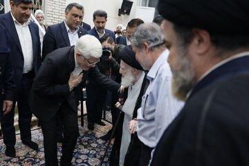 عارف با آیت‌الله شبیری زنجانی دیدار کرد