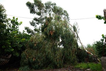 خسارات ناشی از بارندگی شدید و طوفان - بابل