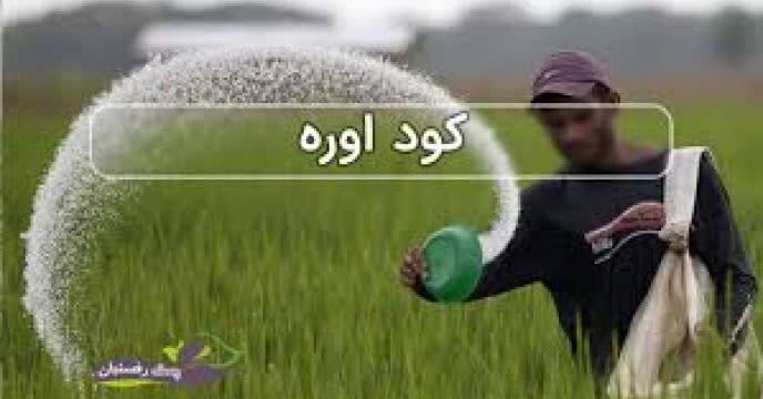 توزیع ۱۴۰۰ تن کود اوره بین کشاورزان تهران