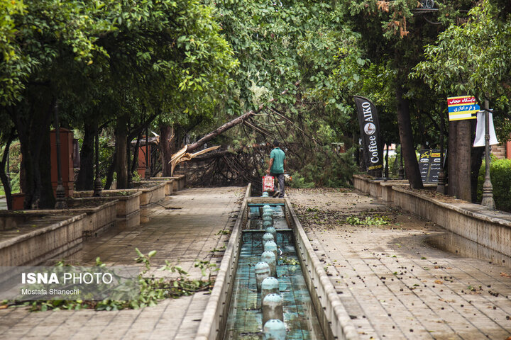 ۳۰۰ نیروی شهرداری ساری در پی هشدار نارنجی و طوفان شبانه به میدان آمدند