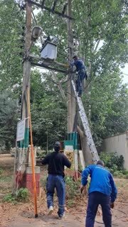 بارش شدید در قائمشهر؛ سقوط ۱۰ درخت و خسارت به منازل و خودروها