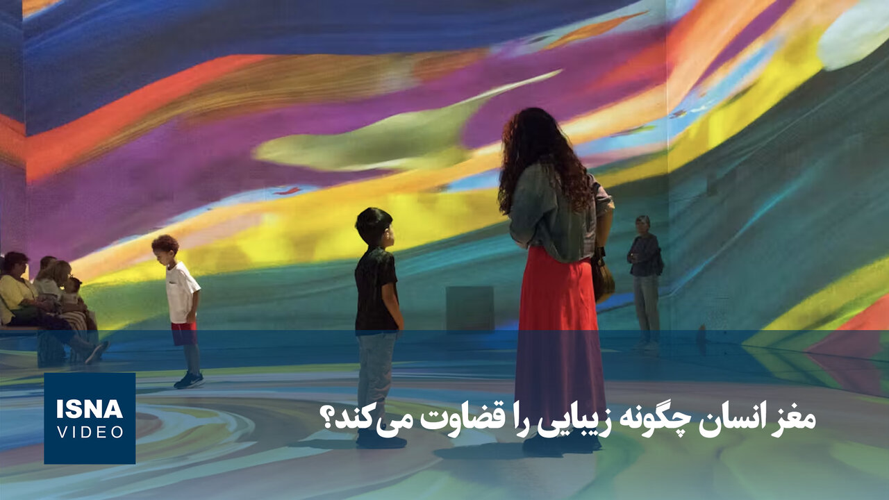 ویدیو/ مغز انسان چگونه زیبایی را قضاوت می‌کند؟