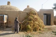 خارخانه؛ ابتکاری بومی در معماری سنتی سیستان و روستای گردشگری قلعه‌نو