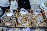 سومین جشنواره ملی بادام چهارمحال و بختیاری برگزار شد