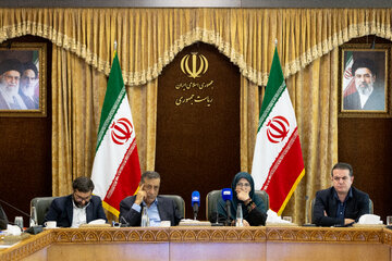 محمدجعفر قائم پناه، معاون اجرایی رییس جمهور و شینا انصاری، رییس سازمان حفاظت محیط زیست در پانزدهمین جلسه کارگروه ملی کاهش آلودگی هوا