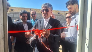 مدیرکل تعاون لرستان: بخش تعاون ظرفیت مهمی برای تحقق اقتصاد عدالت‌محور است