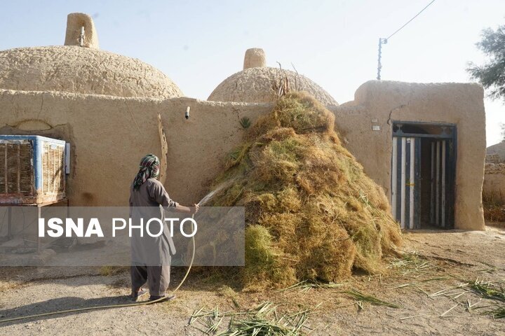 خارخانه؛ ابتکاری بومی در معماری سنتی سیستان و روستای گردشگری قلعه‌نو