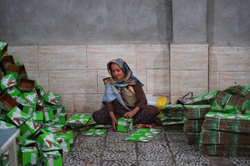 بسته بندی خرما - بوشهر