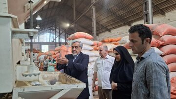 فرماندار رشت: برنج‌کوبی‌ها نقش مهمی در فرآوری محصول و تکمیل زنجیره تولید برنج دارند
