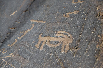 نقوش حک شده بر سنگ‌نگاره‌های «جُربَت» - جاجرم