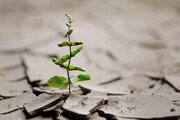 ما به «تاب‌آوری» نیاز داریم