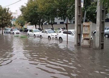 ۲۲۴ میلی‌متر باران در یک روز؛ چه بلایی سر شمال ایران آمد؟