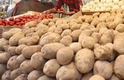 صادرات سیب‌زمینی، پیاز و گوجه‌فرنگی در فارس تا پایان سال ممنوع شد