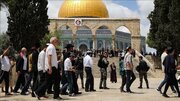 یورش شهرک‌نشینان به مسجدالاقصی و اعمال محدودیت بر ورود نمازگزاران فلسطینی