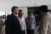ساخت دو تا سه مجتمع کشت و صنعت در ایلام در دستور کار است