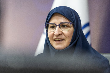 زنان کارآفرین نمونه‌های خوبی برای نقص دوگانه‌ «خانواده» یا «اشتغال» هستند