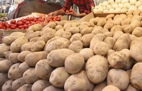 صادرات سیب‌زمینی، پیاز و گوجه‌فرنگی در فارس تا پایان سال ممنوع شد